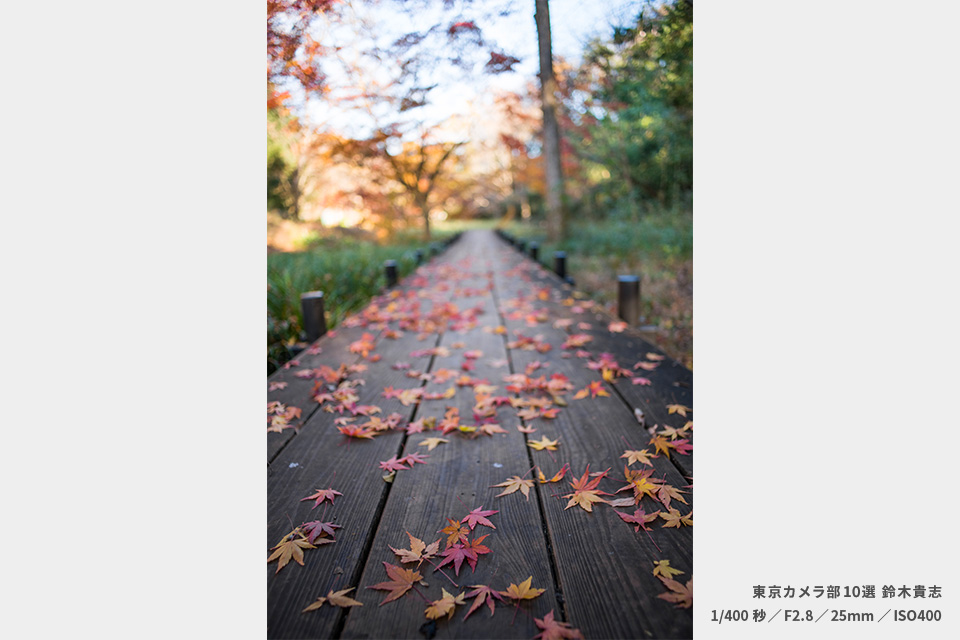 小山田緑地の作品