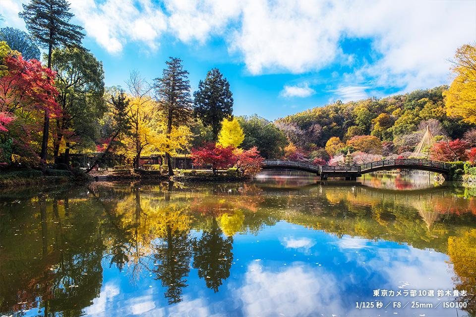 秋の写真 秋のフォトスポット｜カメラと楽しむまちだ｜「まちだで好きを続ける