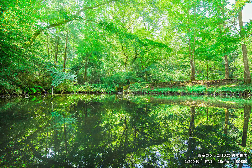 小山田緑地の作品