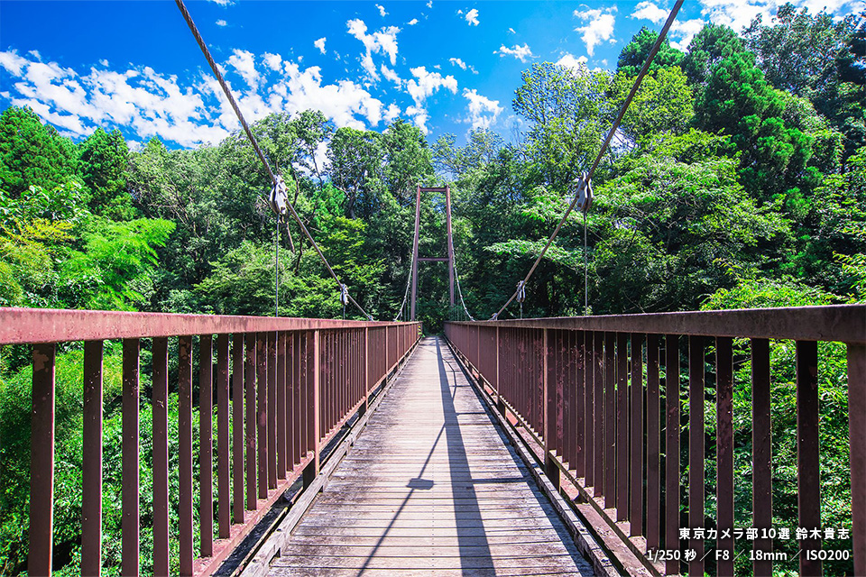 小山田緑地の作品