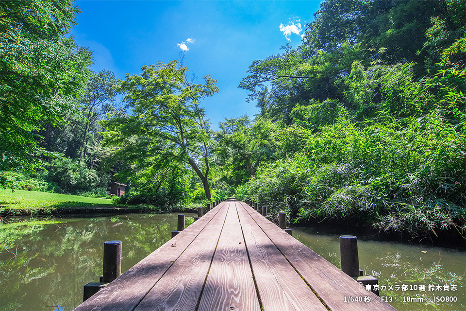 小山田緑地の作品