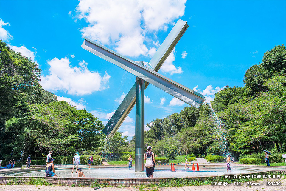 芹ヶ谷公園の作品